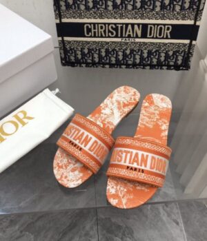 DIOR Slides