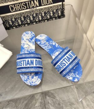 DIOR Slides