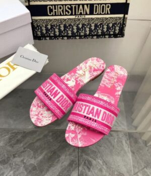 DIOR Slides