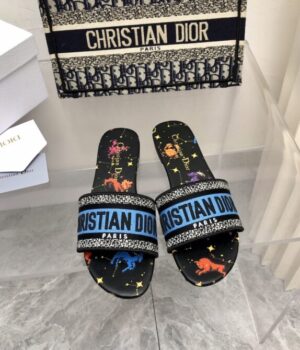 DIOR Slides