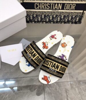 DIOR Slides