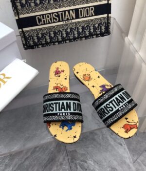 DIOR Slides