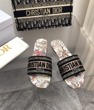 DIOR Slides