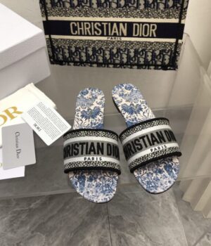 DIOR Slides