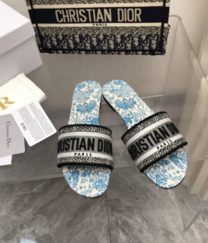 DIOR Slides