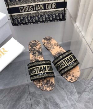 DIOR Slides
