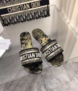 DIOR Slides