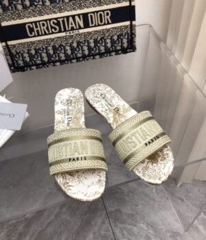 DIOR Slides