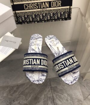 DIOR Slides