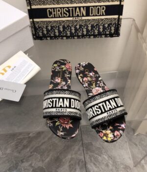 DIOR Slides