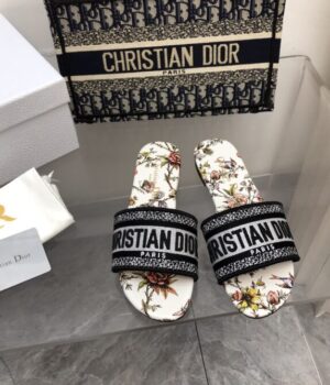 DIOR Slides