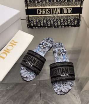 DIOR Slides