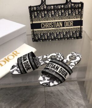 DIOR Slides