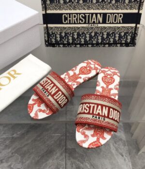 DIOR Slides