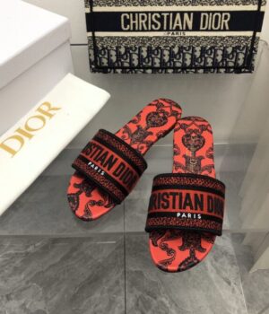 DIOR Slides
