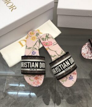 DIOR Slides