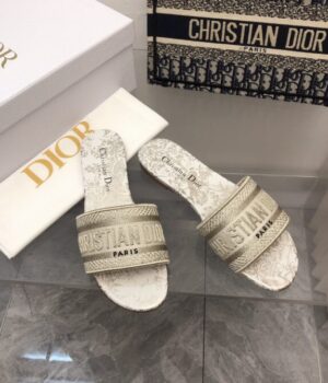 DIOR Slides
