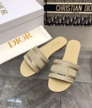 DIOR Slides