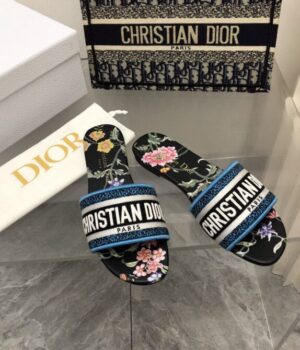 DIOR Slides