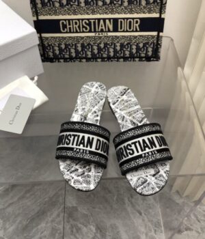 DIOR Slides