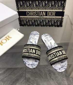 DIOR Slides
