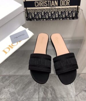 DIOR Slides