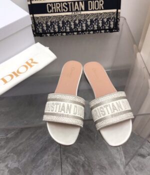 DIOR Slides