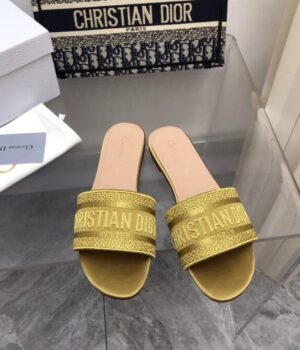 DIOR Slides