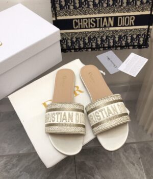 DIOR Slides