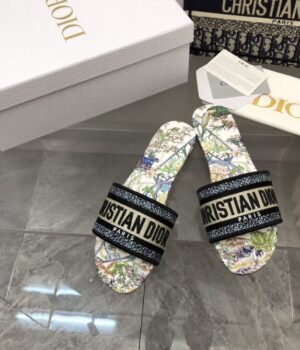 DIOR Slides