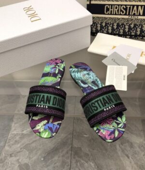 DIOR Slides