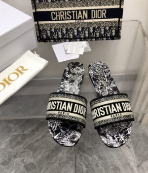 DIOR Slides