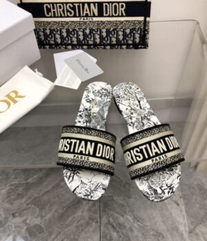 DIOR Slides