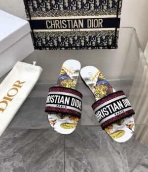 DIOR Slides