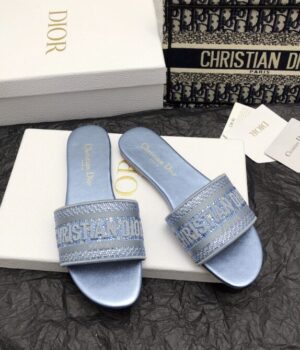 DIOR Slides