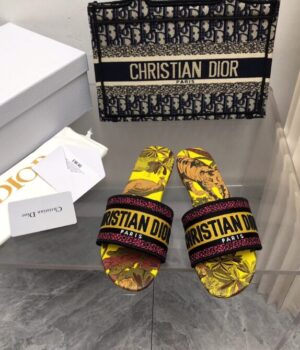 DIOR Slides