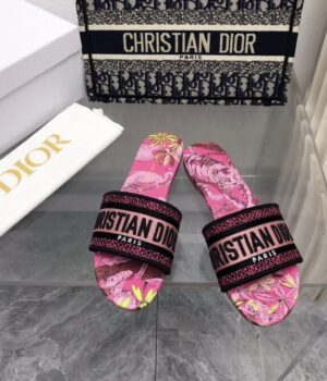 DIOR Slides