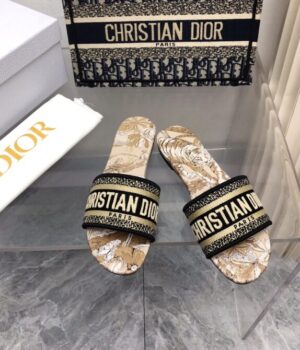DIOR Slides