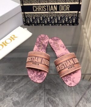 DIOR Slides