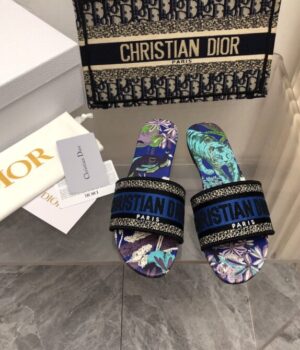 DIOR Slides