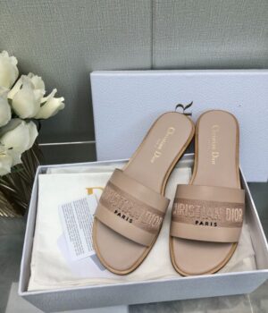 DIOR Slides