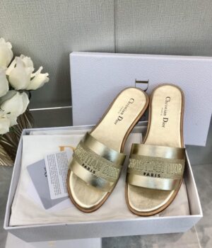 DIOR Slides