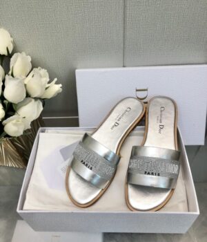 DIOR Slides
