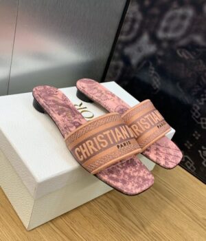 DIOR Slides