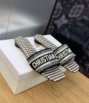 DIOR Slides