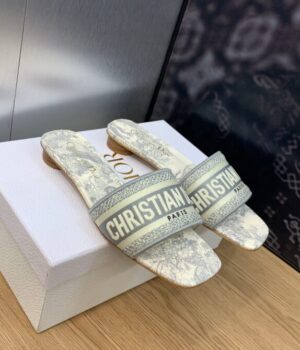 DIOR Slides