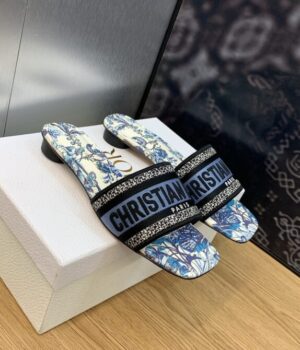 DIOR Slides