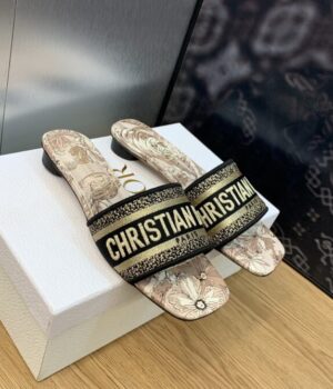 DIOR Slides