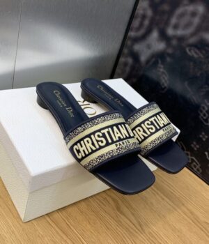 DIOR Slides