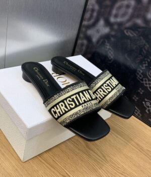 DIOR Slides